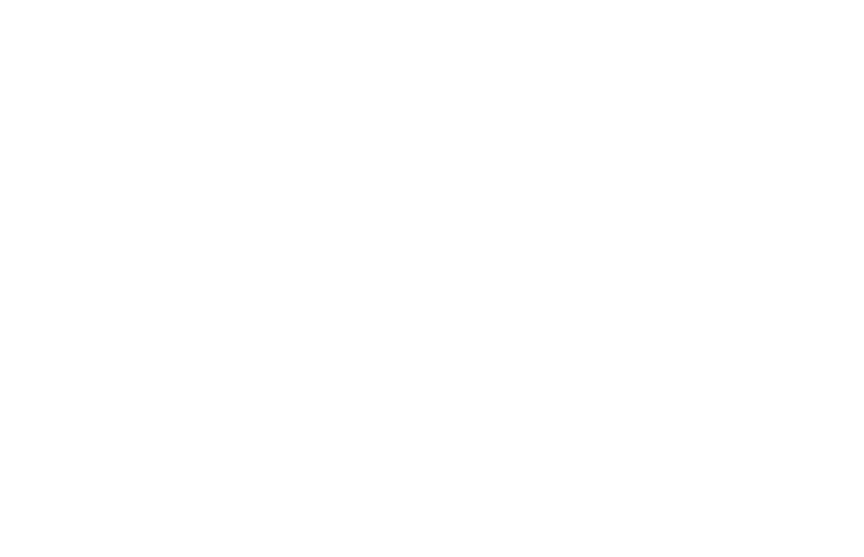 Arts Partners